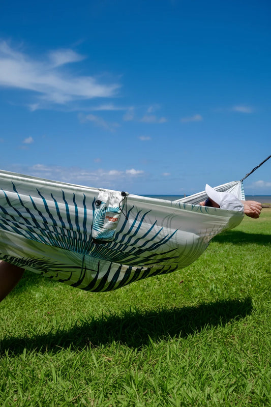 The Sunday Hammock