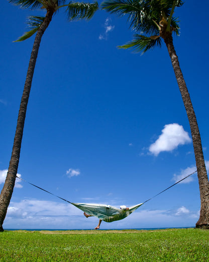Under the Palms Set