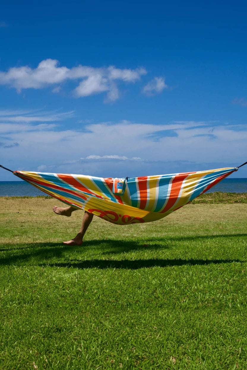 Colorful striped hammock on a grassy field with a blue sky and ocean in the background