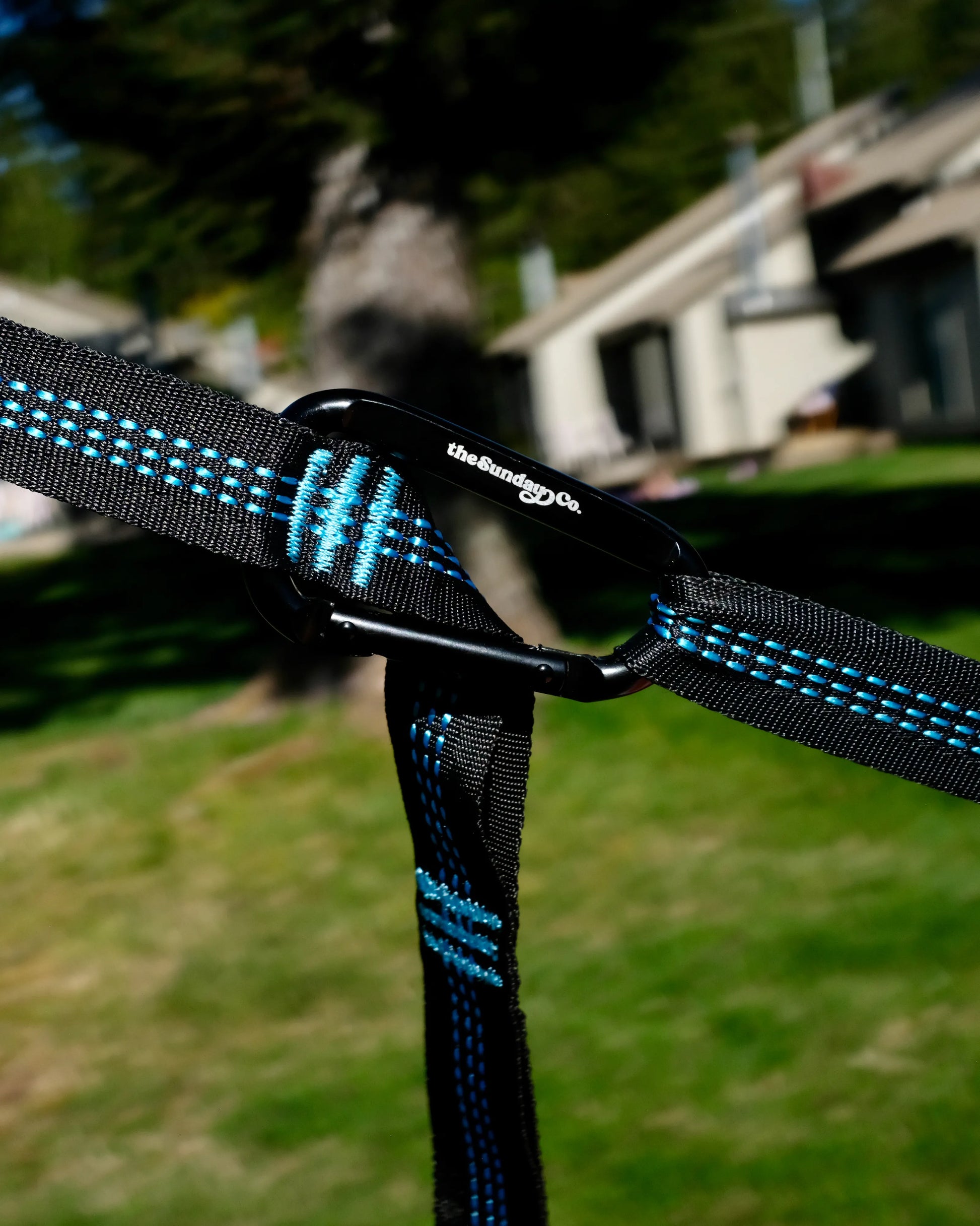 The Sunday Company close-up of the Sunburst black and blue strap with a logo carabiner in a backyard